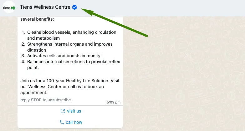 Blue Tick Verification on WhatsApp Business